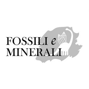 (c) Fossilieminerali.it