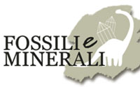 Fossili e Minerali Magazine